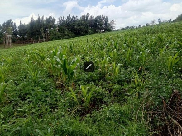 3/4 Acre Land for sale in Ngong