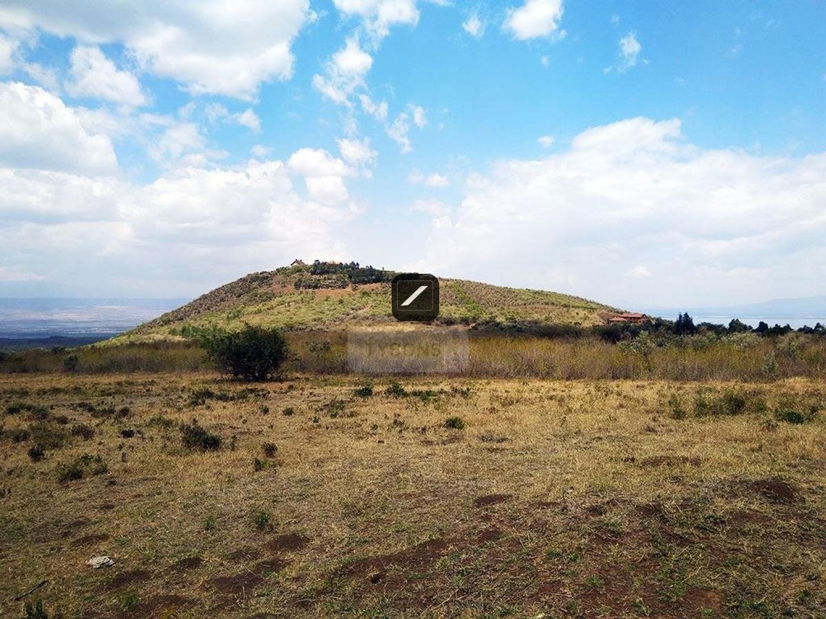 9c499e2f-edfd-4a75-85e6-727cb878fc91 Land For Sale In Naivasha