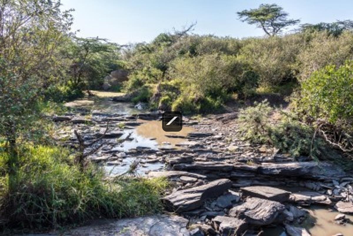 Safari Camp And Conservancy For Sale In Maasai Mara