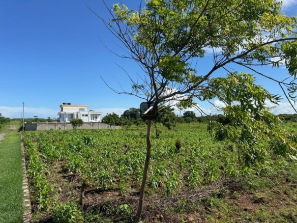 Plots For Sale In Vipingo