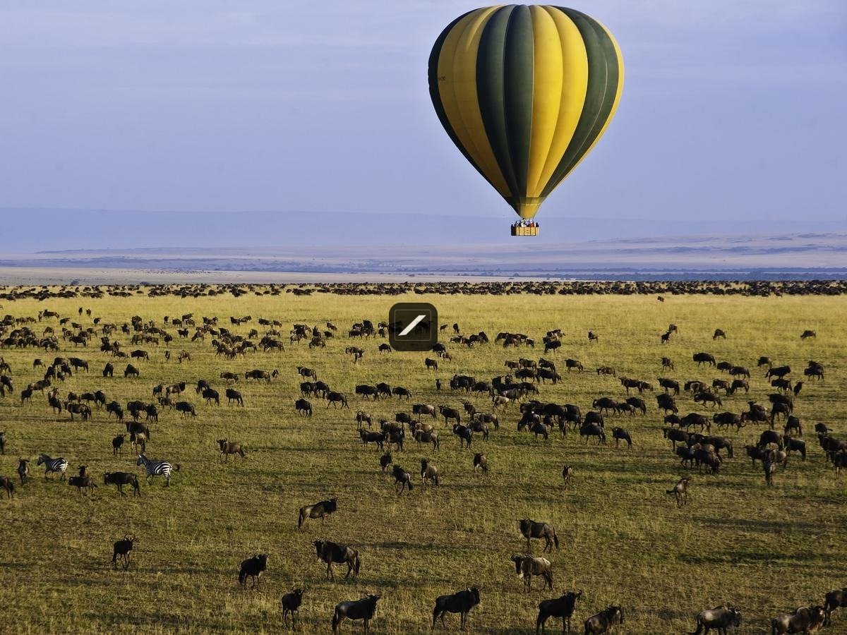 Safari Camp And Conservancy For Sale In Maasai Mara