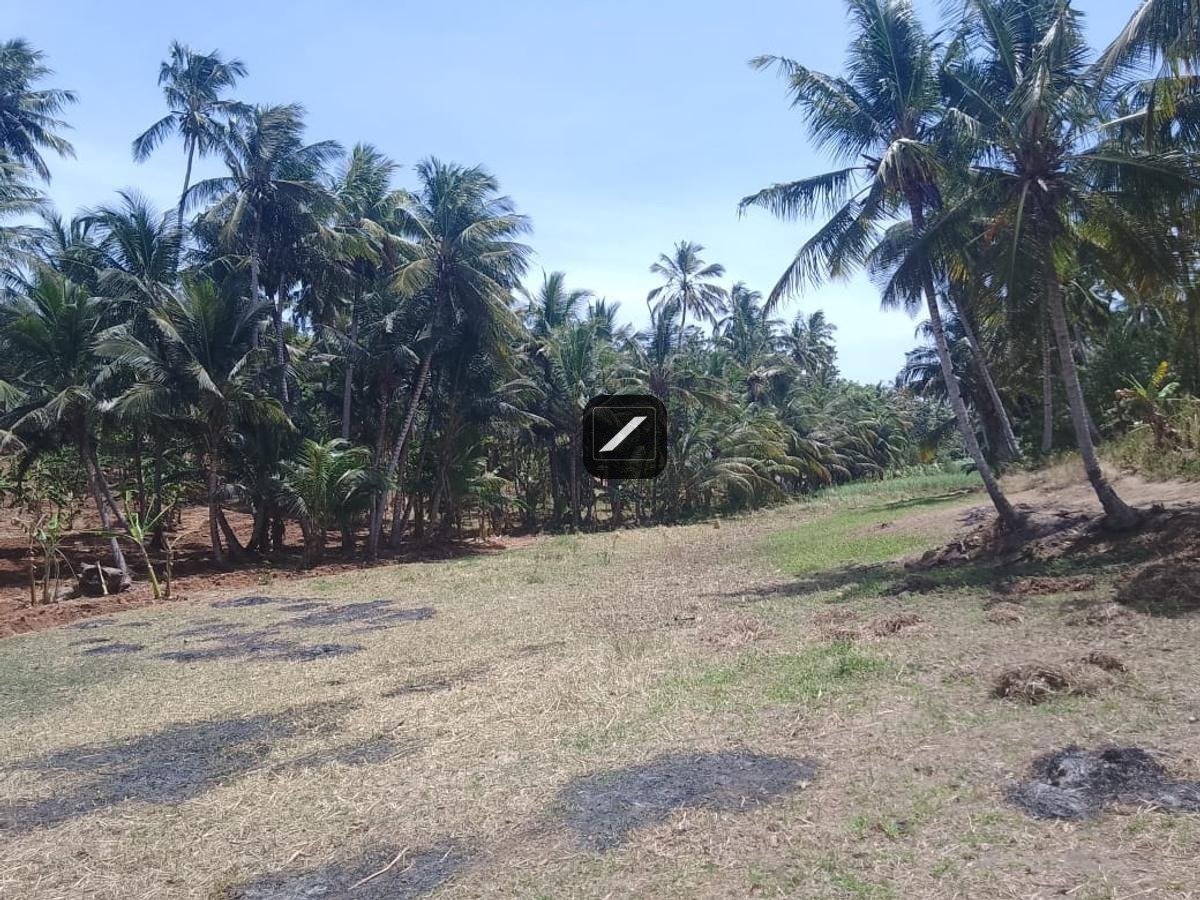 Land For Sale In Vipingo