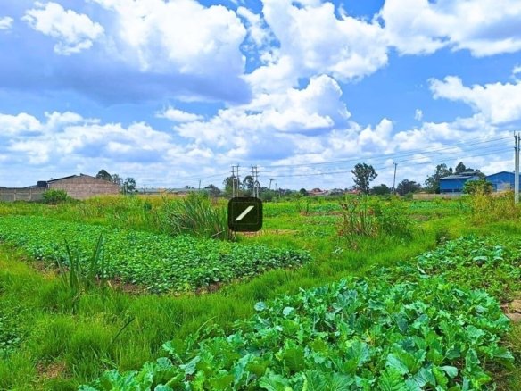 12.5 Acre of Land for sale in Thika