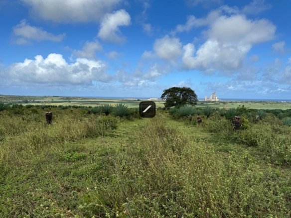 Land For Sale In Vipingo