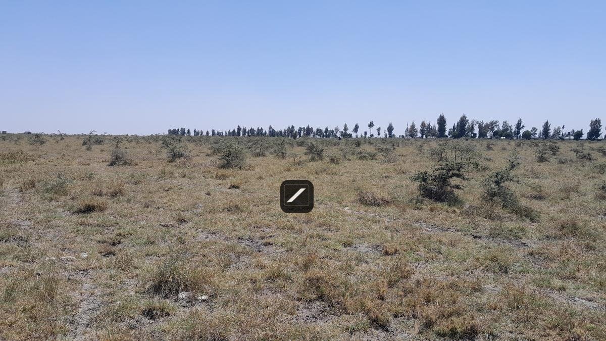 imgi_15_fc161b1e-474c-4c9a-a6ec-2683ced53fd4 Commercial Land For Sale at Ebenezer Children’s Home