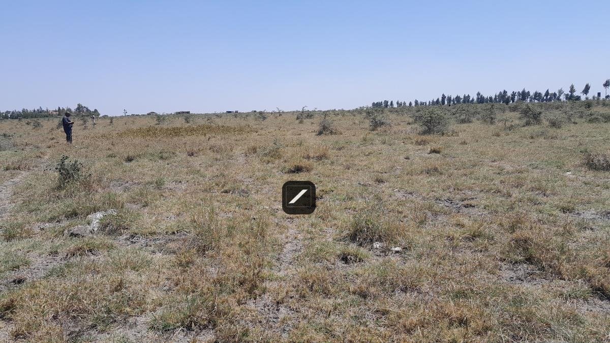 imgi_17_3445cc56-6566-4f14-81ae-7230a522f763 Commercial Land For Sale at Ebenezer Children’s Home