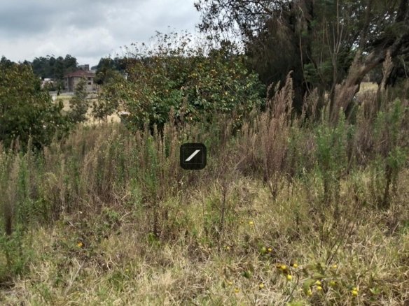 Residential Land For Sale in Kibiko