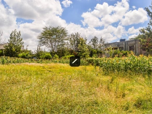 Land For Sale at Ole Pasha Drive