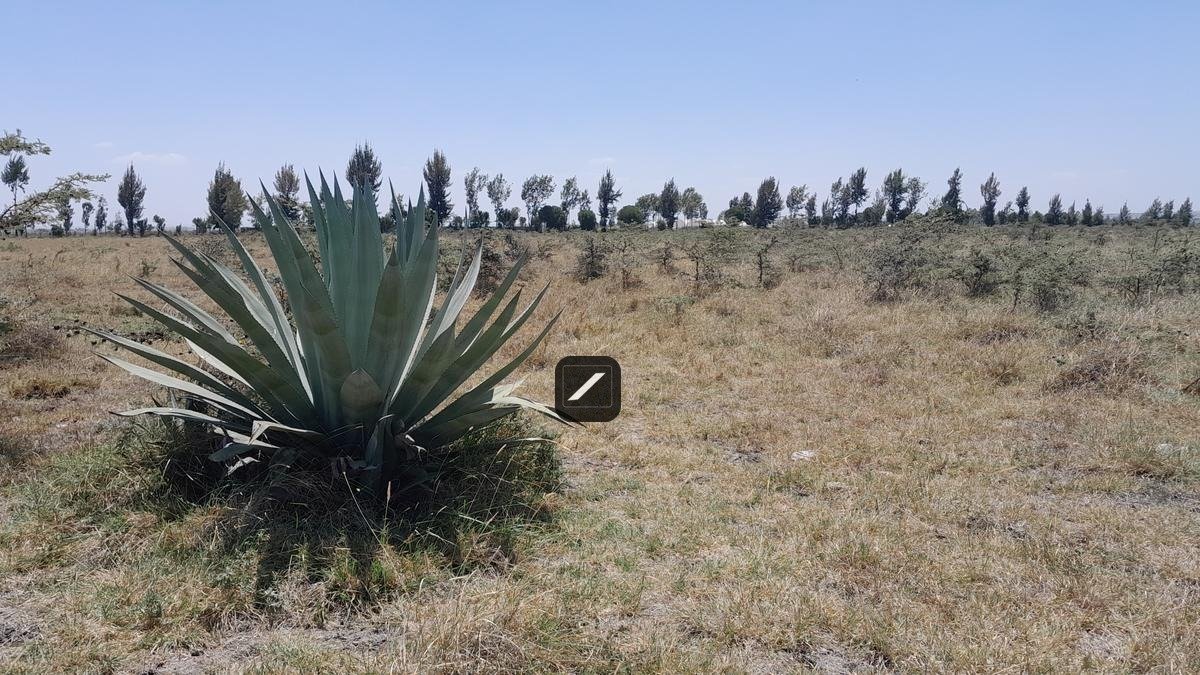 imgi_21_509a85ab-a175-4e1f-a7da-f515bc93d067 Commercial Land For Sale at Ebenezer Children’s Home