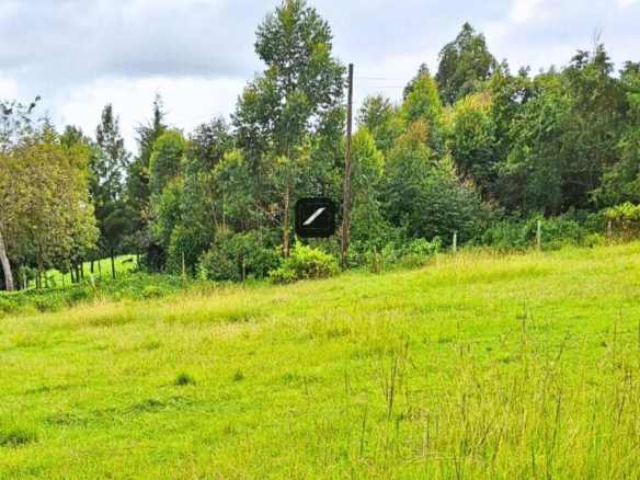 1 acre Commercial Land For Sale in Ngong