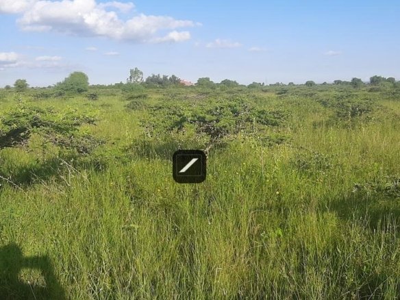 Residential Land For Sale in Leshaoo