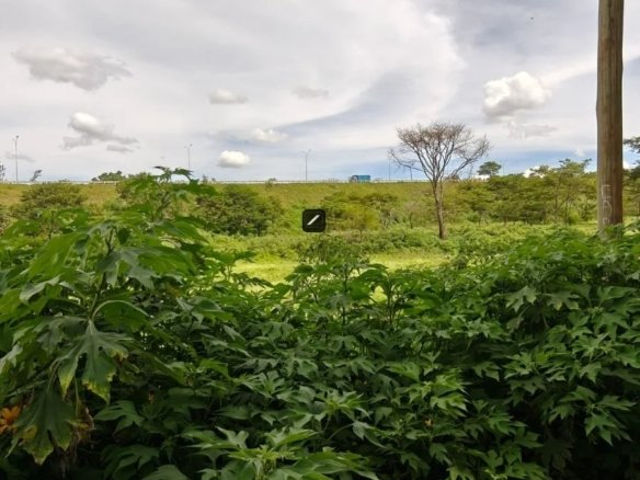 0.5 acre Land For Sale in Riverside