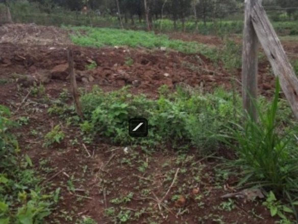 486 m² Land For Sale in Ngong