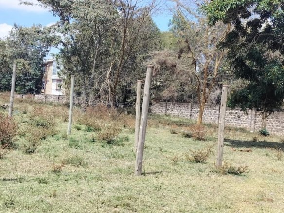 1/8 acre Land For Sale in Kerarapon