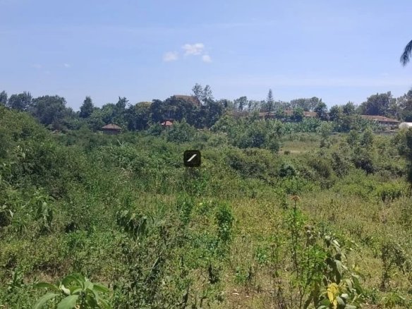 1/2 acre Land For Sale in Karen