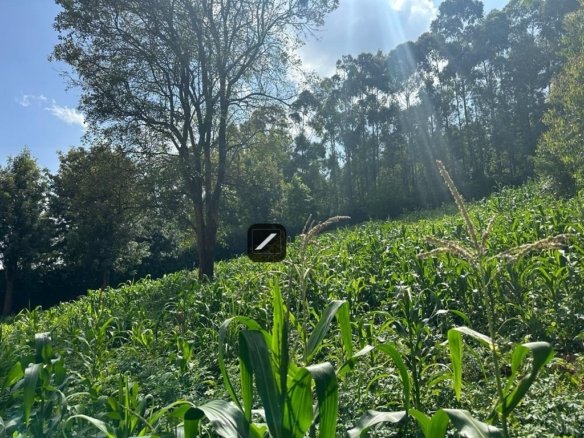 1/2 acre Land For Sale in Ngong