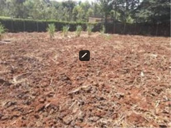 Residential Land For Sale in Kerarapon