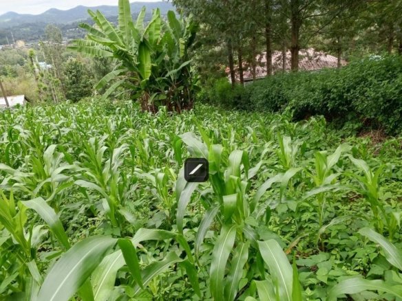 0.25 acre Residential Land For Sale in Ngong